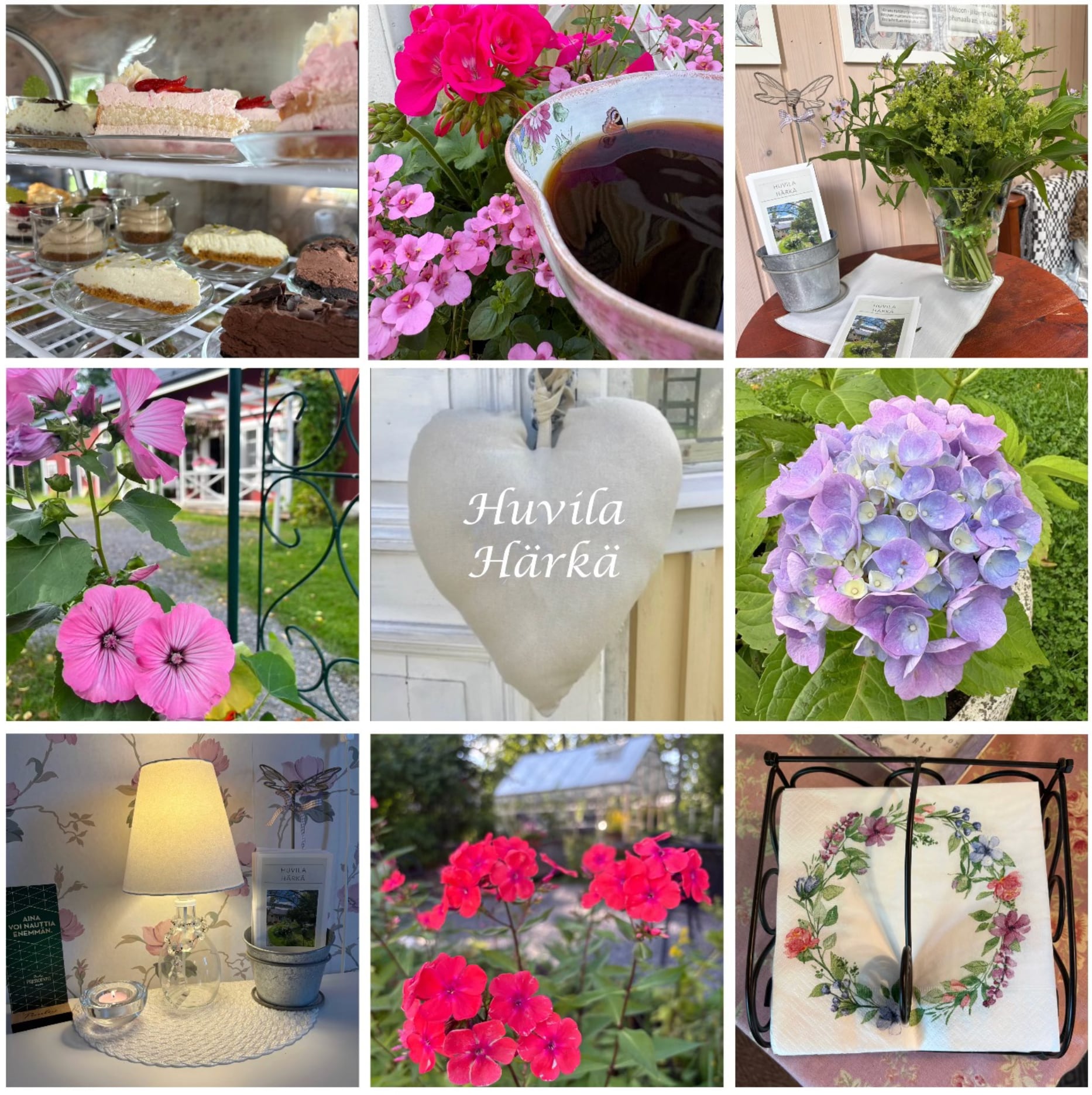 pexels pok rie 33563 608127